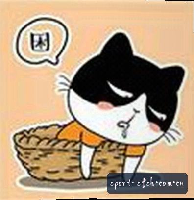 黄磊